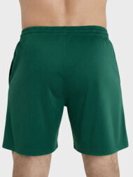 Шорты FN Stride Dark Green
