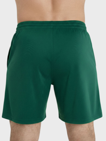 Шорты FN Stride Dark Green