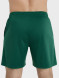 Шорты FN Stride Dark Green