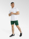 Шорты FN Stride Dark Green