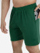 Шорты FN Stride Dark Green