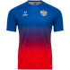 Футболка разминочная JOGEL NATIONAL PerFormDRY Pre-Match Tee, сине-красный