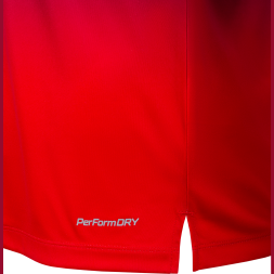 Футболка разминочная JOGEL NATIONAL PerFormDRY Pre-Match Tee, сине-красный