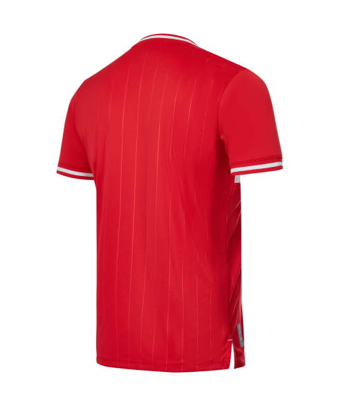 Футболка игровая JOGEL PerFormDRY Spartak 25 Home Jersey Replica, красный
