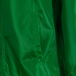 ДОЖДЕВИК ЗЕЛЕНЫЙ