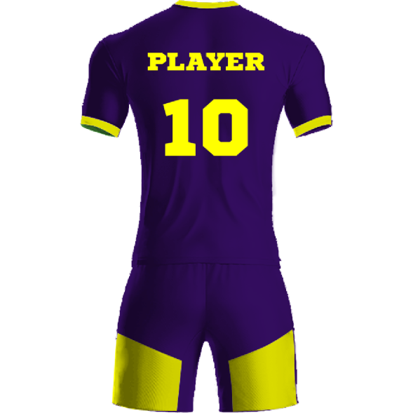 Футбольная форма ЭКИПО - Фиолетово-желтый