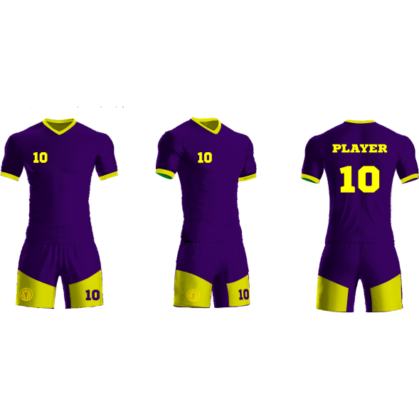Футбольная форма ЭКИПО - Фиолетово-желтый