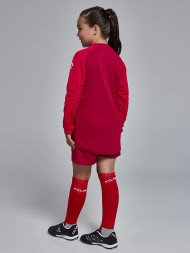 Детская вратарская форма KELME Long Sleeve Goalkeeper Suit Red