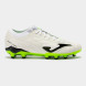 Ассортимент | EVOLUTION 2502     FIRM GROUND