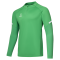 Джемпер тренировочный JOGEL CAMP 2 Training Top, зеленый, детский