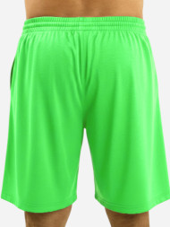 Шорты FN Bounce Light Green