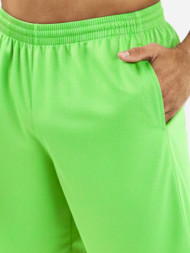 Шорты FN Bounce Light Green