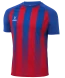 Футболка игровая JOGEL CAMP Striped Jersey, красный/синий, детский