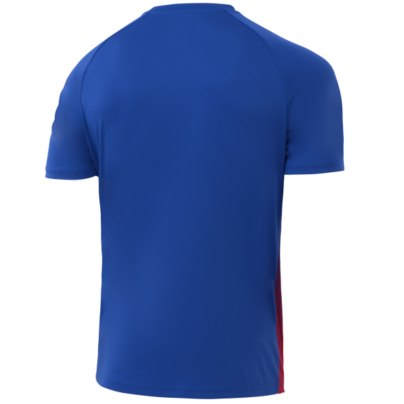 Футболка игровая JÖGEL CAMP Striped Jersey, красный/синий, детский