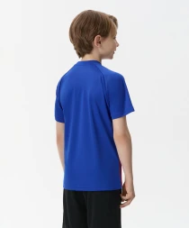 Футболка игровая JOGEL CAMP Striped Jersey, красный/синий, детский