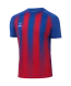 Футболка игровая JOGEL CAMP Striped Jersey, красный/синий, детский