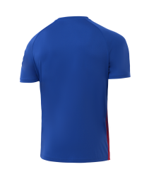 Футболка игровая JOGEL CAMP Striped Jersey, красный/синий, детский