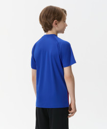 Футболка игровая JOGEL CAMP Striped Jersey, красный/синий, детский