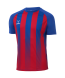 Футболка игровая JOGEL CAMP Striped Jersey, красный/синий, детский