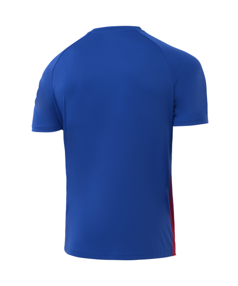 Футболка игровая JOGEL CAMP Striped Jersey, красный/синий, детский