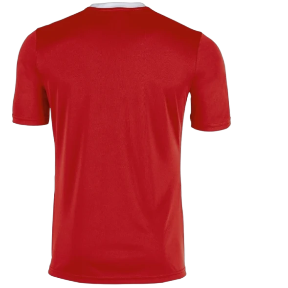 Футболка игровая JOMA WINNER 100946.602