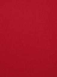Шорты KELME Football Shorts Red