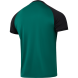 Футболка игровая JÖGEL CAMP Reglan Jersey, темно-зеленый