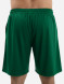 Шорты FN Bounce Dark Green