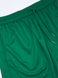 Шорты FN Bounce Dark Green