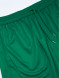 Шорты FN Bounce Dark Green