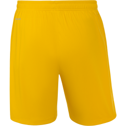 Шорты вратарские JOGEL NATIONAL PerFormDRY GK Shorts, желтый