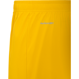 Шорты вратарские JOGEL NATIONAL PerFormDRY GK Shorts, желтый