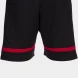 Игровые шорты JOMA TOKYO  
