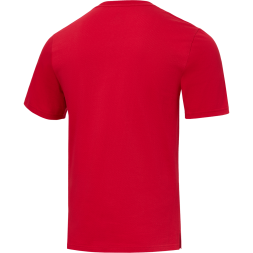 Футболка тренировочная JÖGEL DIVISION PerFormDRY Training CVC R2, красный