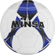 Мяч футбольный MINSA, TPU, машинная сшивка, 32 панели, р. 5