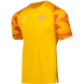 Футболка вратарская JOGEL NATIONAL PerFormDRY GK Jersey, желтый