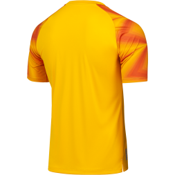 Футболка вратарская JOGEL NATIONAL PerFormDRY GK Jersey, желтый