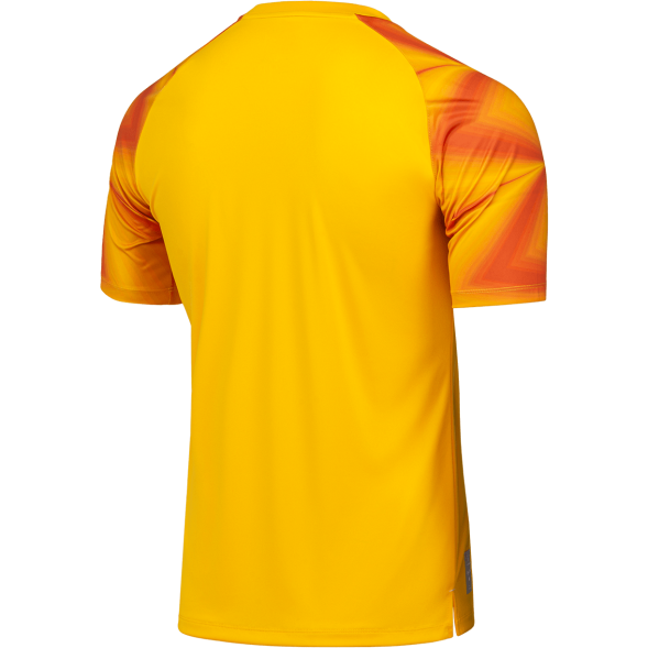 Футболка вратарская JOGEL NATIONAL PerFormDRY GK Jersey, желтый