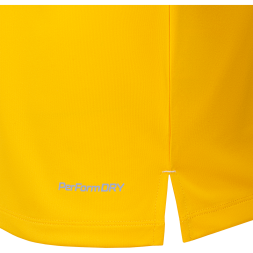 Футболка вратарская JOGEL NATIONAL PerFormDRY GK Jersey, желтый