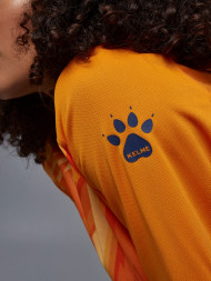 Вратарская форма KELME Long Sleeve Goalkeeper Suit Orange