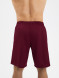 Шорты FN BOUNCE Burgundy
