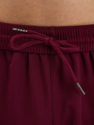 Шорты FN BOUNCE Burgundy