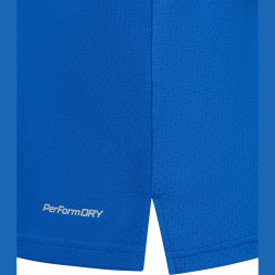 Футболка тренировочная JÖGEL DIVISION PerFormDRY Training CVC Z2, синий