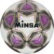 Мяч футбольный MINSA, PU, машинная сшивка, 12 панелей, р. 5