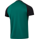 Футболка игровая JOGEL CAMP Reglan Jersey, темно-зеленый, детский