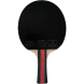 Ракетка для настольного тенниса DOUBLE FISH 2D-C в комплекте с чехлом