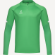 Джемпер тренировочный JOGEL CAMP 2 Training Top, зеленый