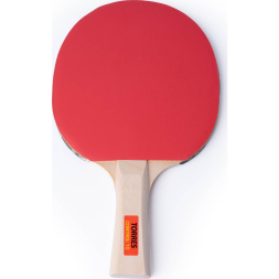 Набор для настольного тенниса TORRES Control 10 TT0010, 2 ракетки, 3 мяча, сетка, сумка-чехол