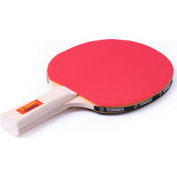 Набор для настольного тенниса TORRES Control 10 TT0010, 2 ракетки, 3 мяча, сетка, сумка-чехол