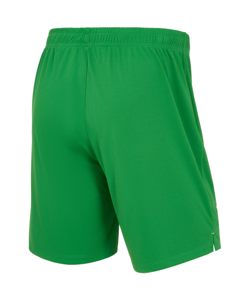 Шорты вратарские JOGEL PerFormDRY Spartak 25 GK Shorts, зеленый